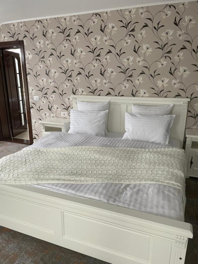 Pensiunea Alexolar New One Arada Экстерьер фото